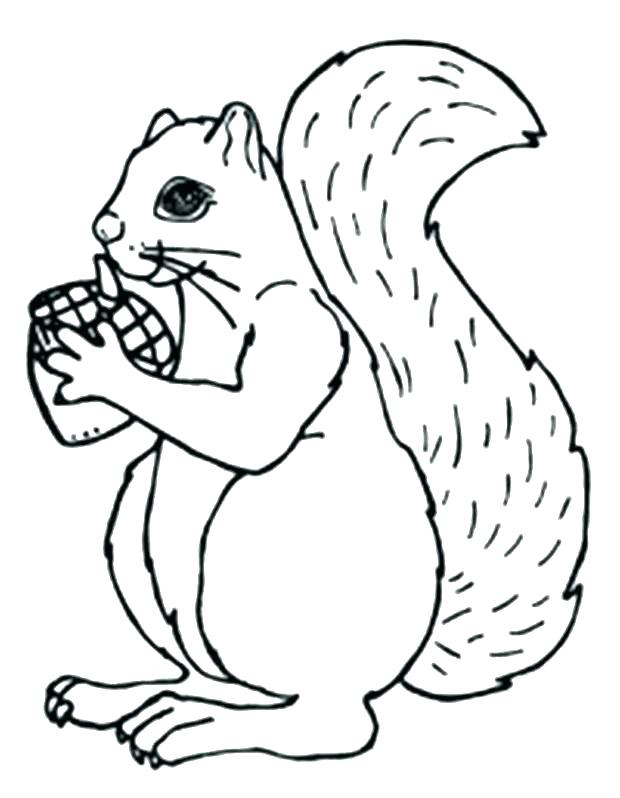 Acorn Coloring Pages Acorn Coloring Pages Coloring Pages 620x798 Acorn Coloring Pages Acorn Coloring Pages Coloring Pages
