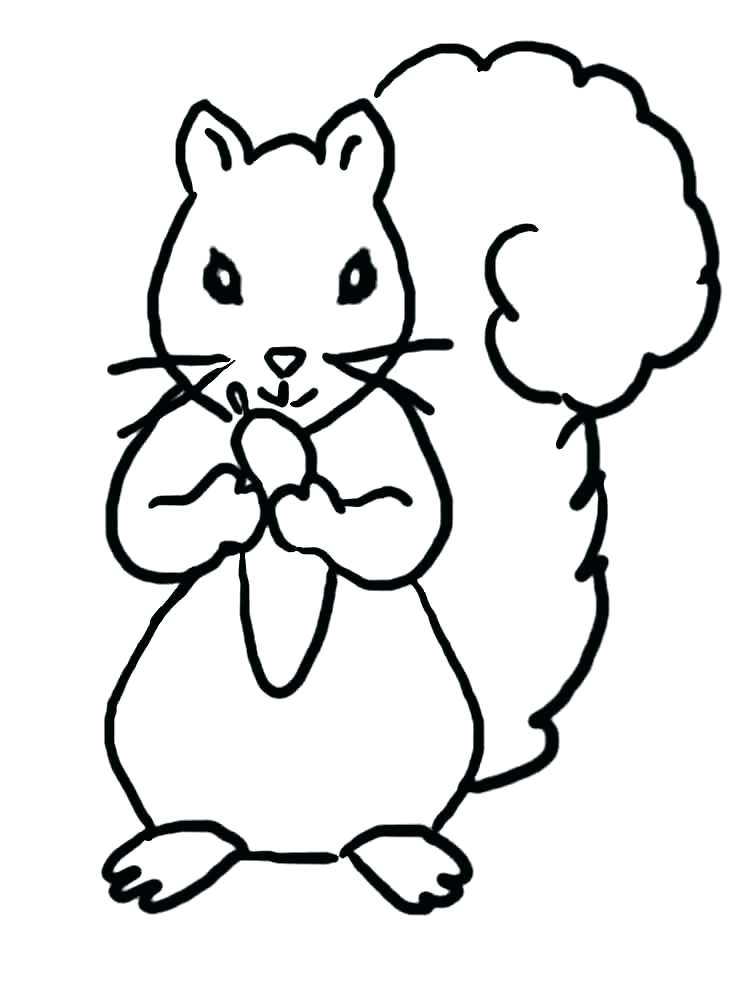 Squirrel Coloring Pages Flying Squirrel Coloring Page Flying 750x1000 Squirrel Coloring Pages Flying Squirrel Coloring Page Flying
