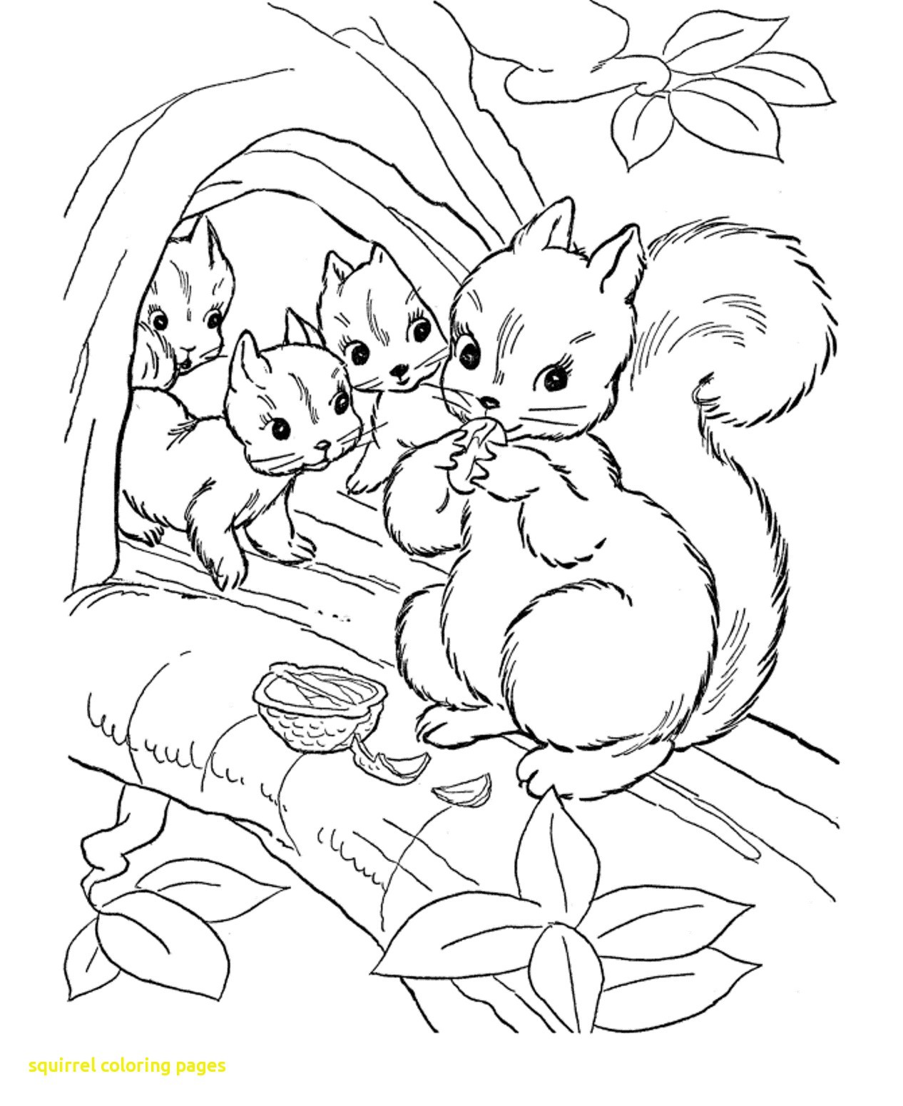Squirrel Coloring Pages Squirrel Coloring Pages 1266x1550 Squirrel Coloring Pages Squirrel Coloring Pages