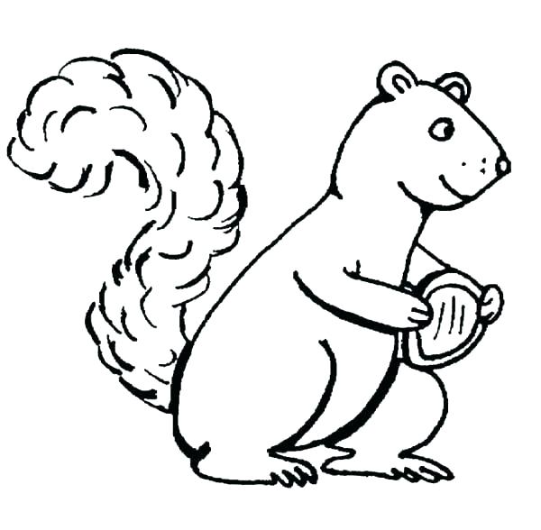 Amusing Flying Squirrel Coloring Page 600x588 Amusing Flying Squirrel Coloring Page