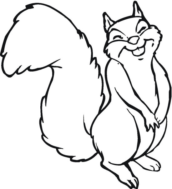 Squirrel (8) Free Printable Squirrel Coloring Pages 550x605 Squirrel (8) Free Printable Squirrel Coloring Pages