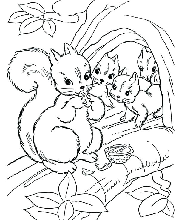 Coloring Pages Of Squirrels Coloring Pages Animals Free Printable 600x734 Coloring Pages Of Squirrels Coloring Pages Animals Free Printable