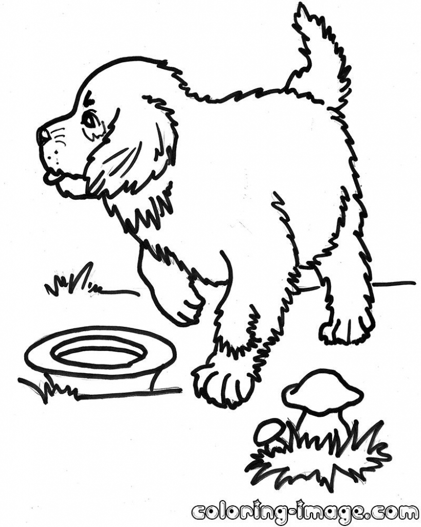 Saint Bernard Coloring Pages Collection Coloring For Kids 2018 819x1024 Saint Bernard Coloring Pages Collection Coloring For Kids 2018