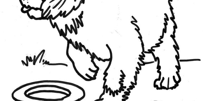 Saint Bernard Puppy For A Walk Free Coloring Pages For Kids 660x330 Saint Bernard Puppy For A Walk Free Coloring Pages For Kids