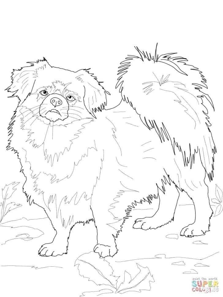 St Bernard Dog Coloring Pages Saint 3870341 Fuhrer Von 728x971 St Bernard Dog Coloring Pages Saint 3870341 Fuhrer Von