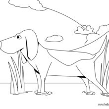 St. Bernard Coloring Pages 220x220 St. Bernard Coloring Pages