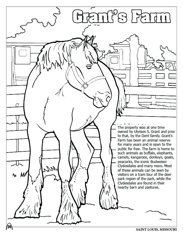 612x792 St Louis Cardinals Coloring Pages Cardinal Coloring Page Cardinals