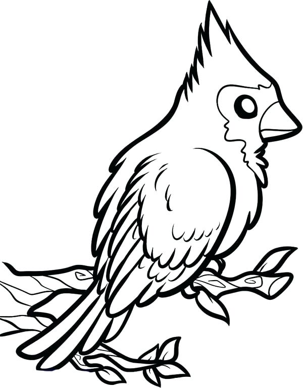 Louisville Cardinals Logo Coloring Pages Sketch Coloring Page