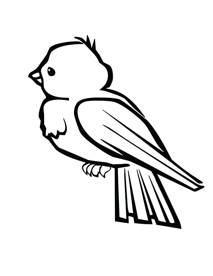 728x942 Saint Louis Cardinal Coloring Pages Coloring Pages Collection