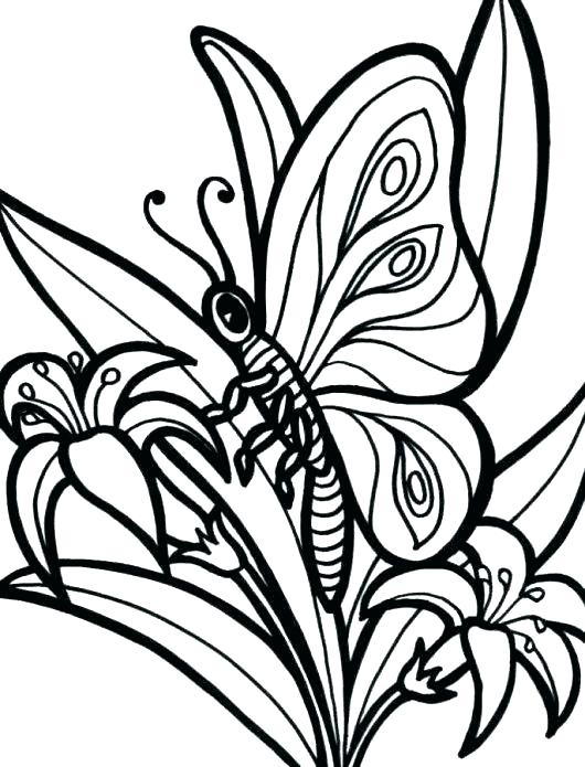 Coloring Pattern Pages Stained Glass Coloring Printable Adult 530x695 Coloring Pattern Pages Stained Glass Coloring Printable Adult