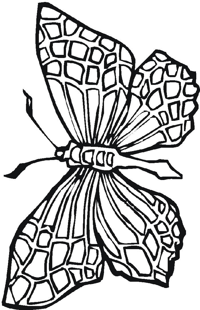 Stained Glass Coloring Pages 700x1085 Stained Glass Coloring Pages