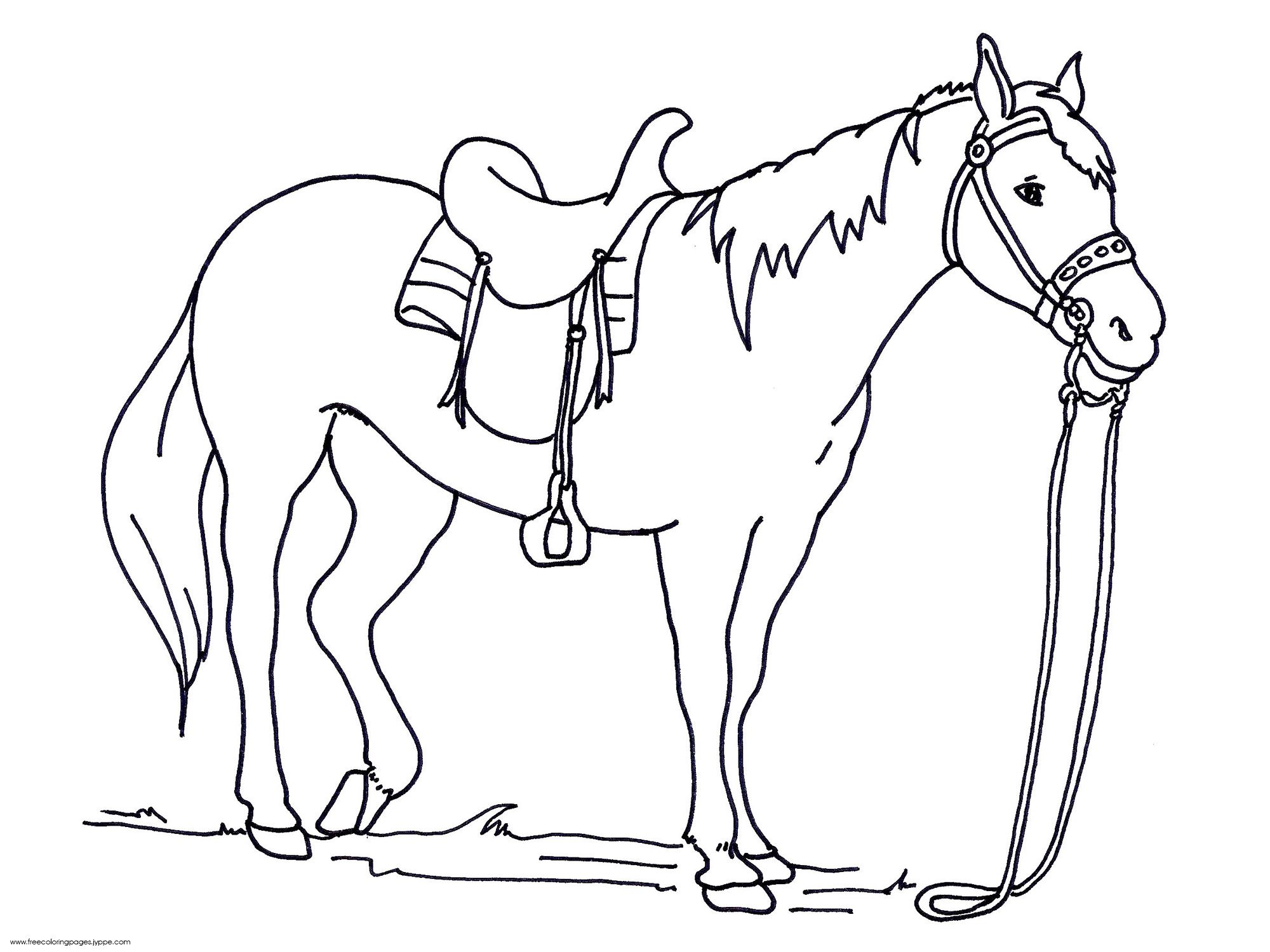 Excellent Colouring In Horses Horse Coloring Pages Futpal Com 2000x1500 Excellent Colouring In Horses Horse Coloring Pages Futpal Com