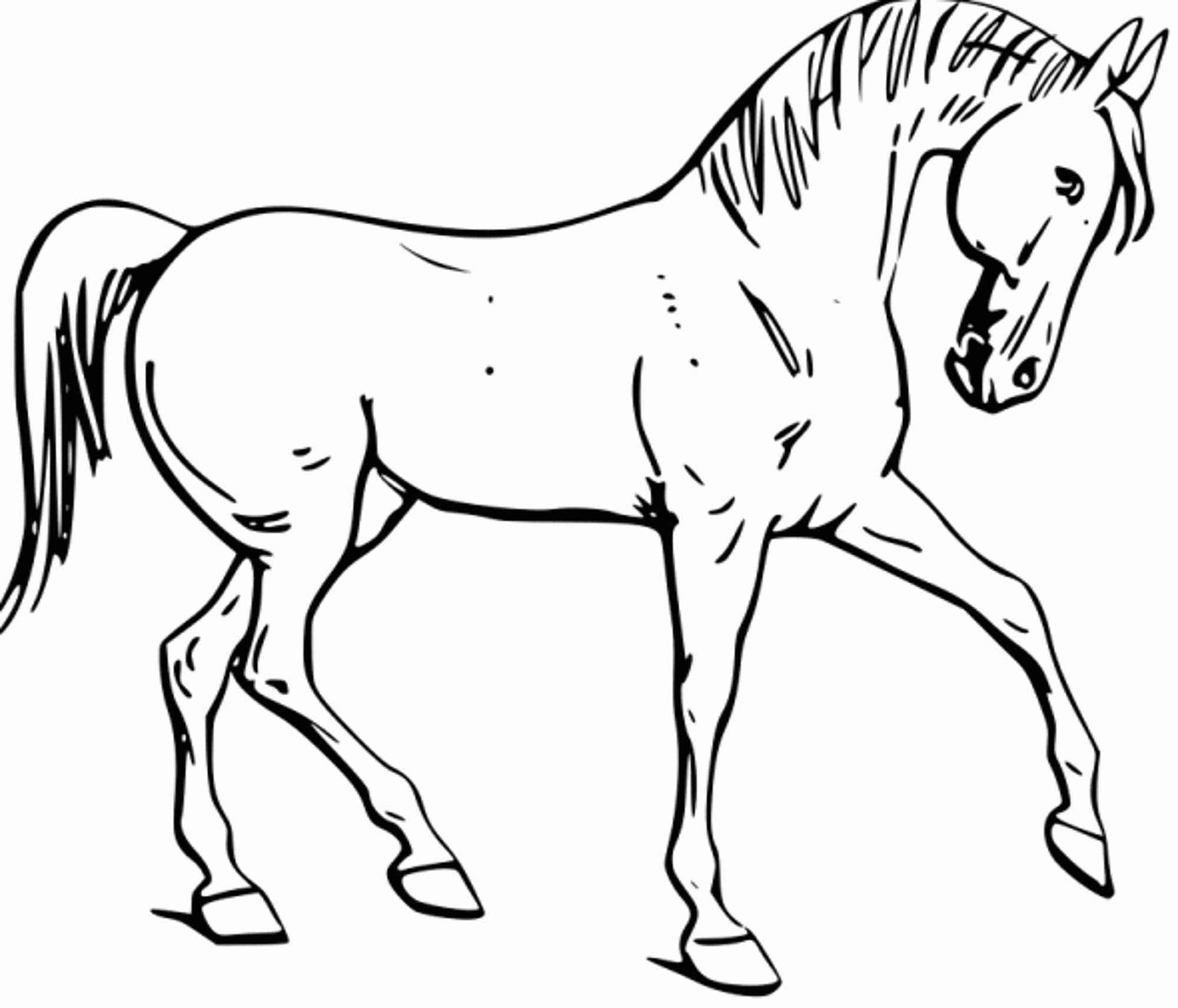 Fun Horse Coloring Pages For Your Kids Printable Printable 2000x1712 Fun Horse Coloring Pages For Your Kids Printable Printable