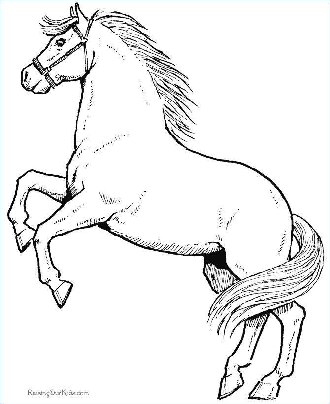 Little Girl Riding Horse Animal Coloring Pages 670x820 Little Girl Riding Horse Animal Coloring Pages