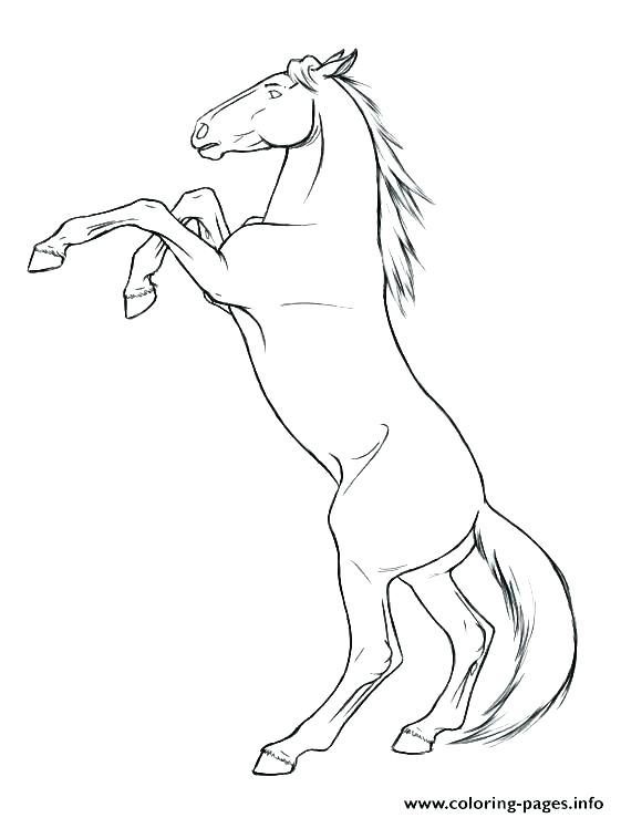 Mustang Horse Coloring Pages Horses Coloring Pages Printable Also 561x739 Mustang Horse Coloring Pages Horses Coloring Pages Printable Also