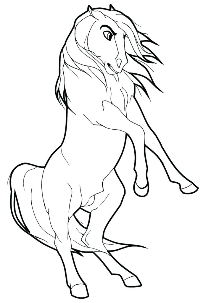 Stallion Coloring Pages at GetColorings.com | Free printable colorings ...