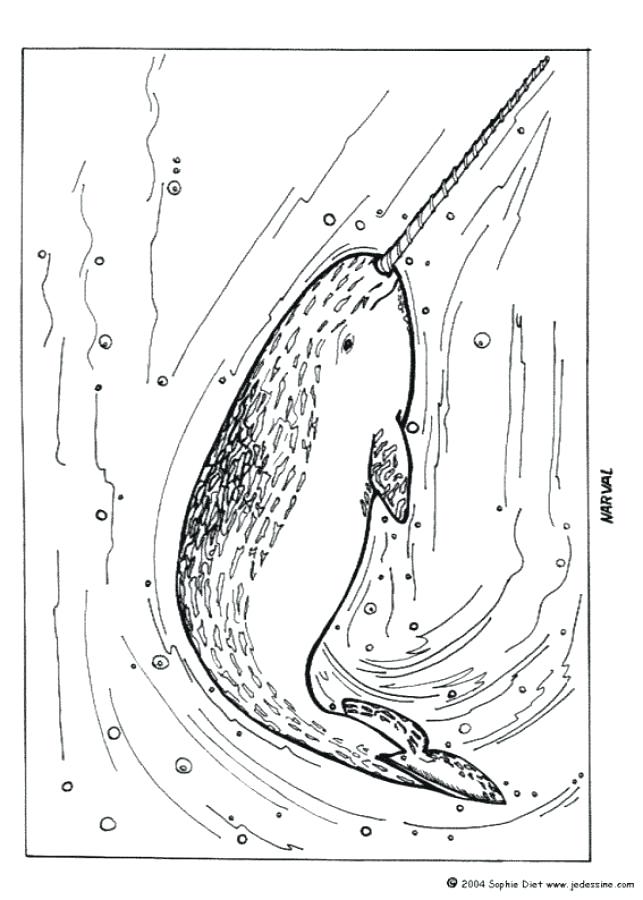 643x900 Sea Star Coloring Page Narwhal Coloring Page Coloring Page Animal
