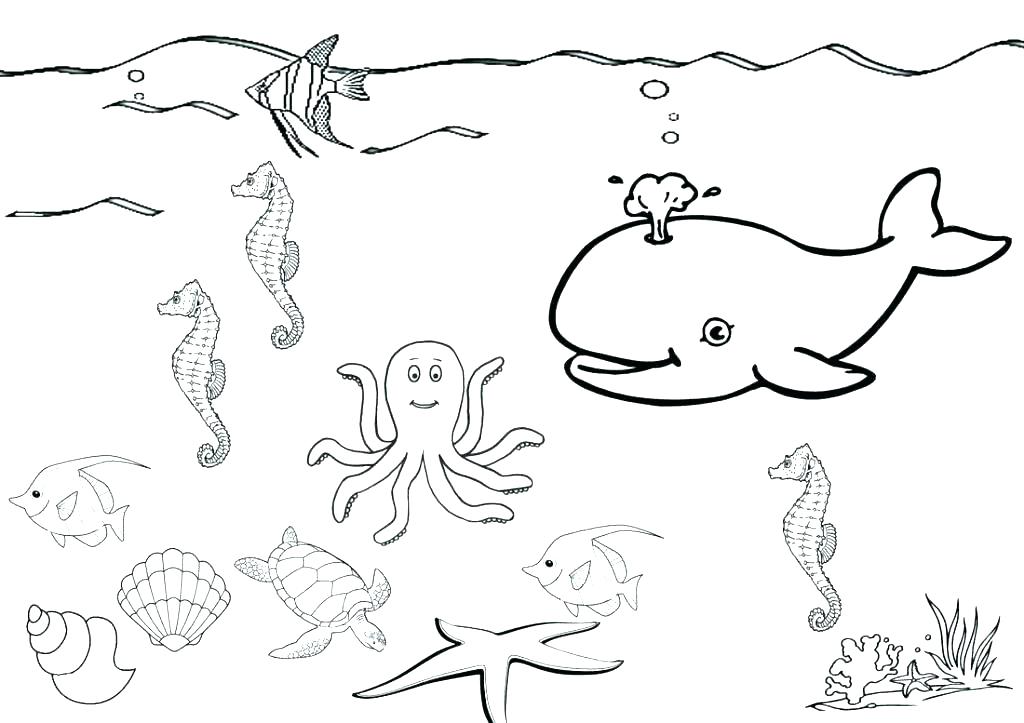 Seaweed Colouring Sheets Under Sea Coloring Pages Under 1024x723 Seaweed Colouring Sheets Under Sea Coloring Pages Under