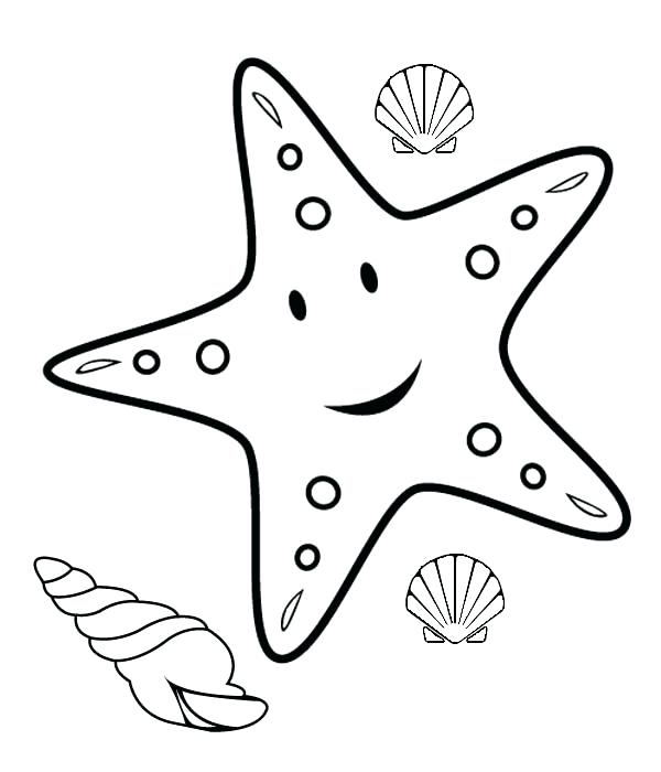 600x700 Coloring Page Of A Star Genuine Starfish Coloring Page Star Fish
