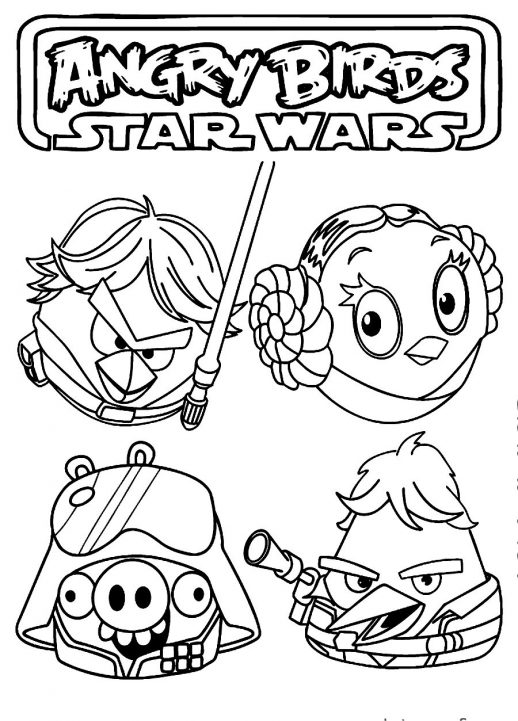 518x721 Red Skywalker Princess Lela Han Solo And Pigtroopers In Angry