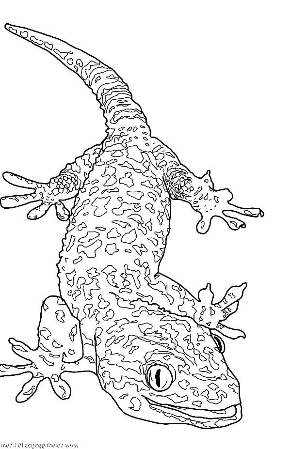 R2d2 Coloring Pages Coloring Pages Coloring Page Giant Gecko 600x927 R2d2 Coloring Pages Coloring Pages Coloring Page Giant Gecko