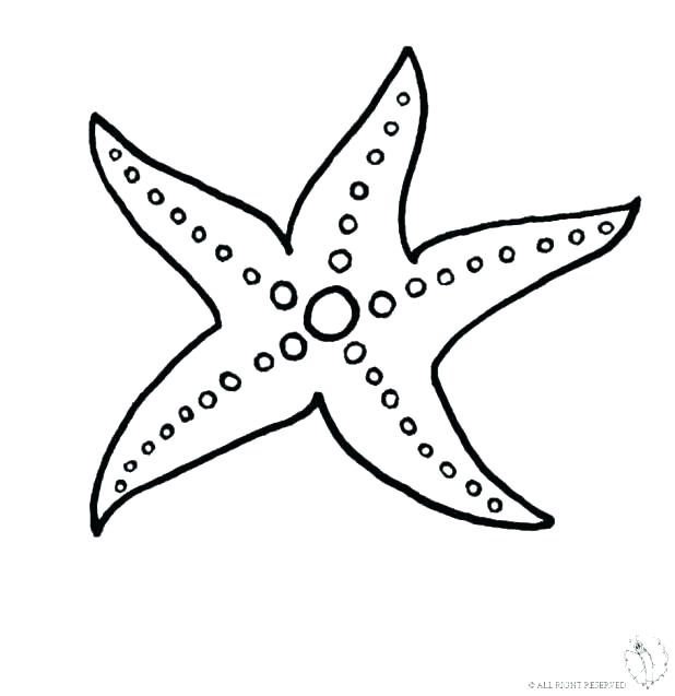 Starfish Coloring Page at GetColorings.com | Free printable colorings ...