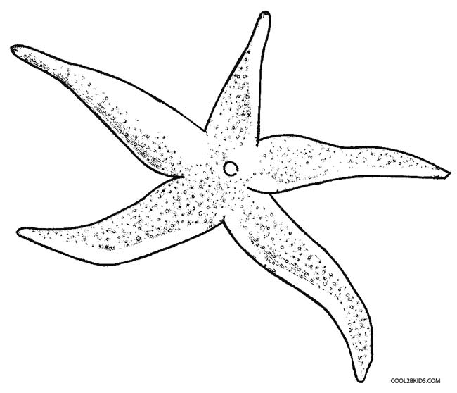 650x558 Printable Starfish Coloring Pages For Kids Cool2bkids