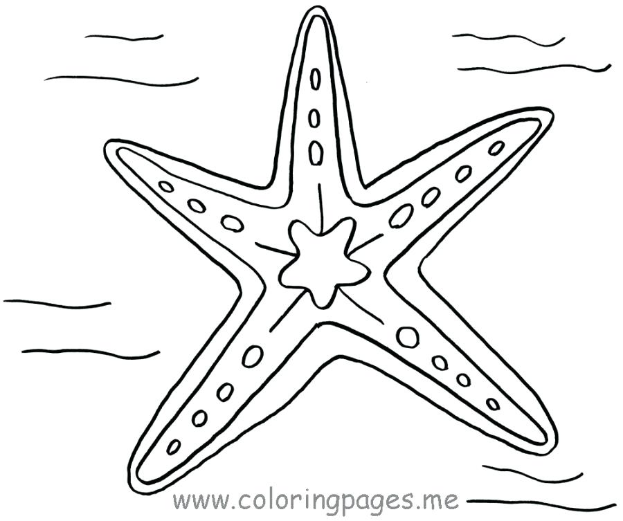 Star Fish Coloring Page Starfish A Starfish Coloring Page Patrick 900x753 Star Fish Coloring Page Starfish A Starfish Coloring Page Patrick