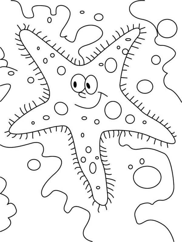 Starfish Coloring Pages For Kids 600x796 Starfish Coloring Pages For Kids