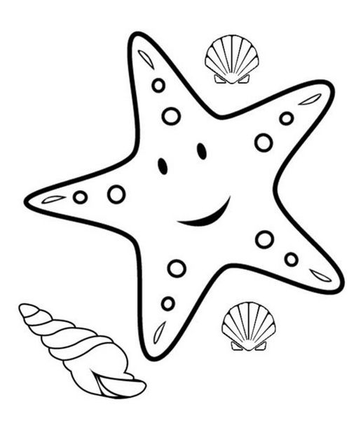 How To Color Starfish Coloring Sheet Starfish Coloring Pages 515x600 How To Color Starfish Coloring Sheet Starfish Coloring Pages