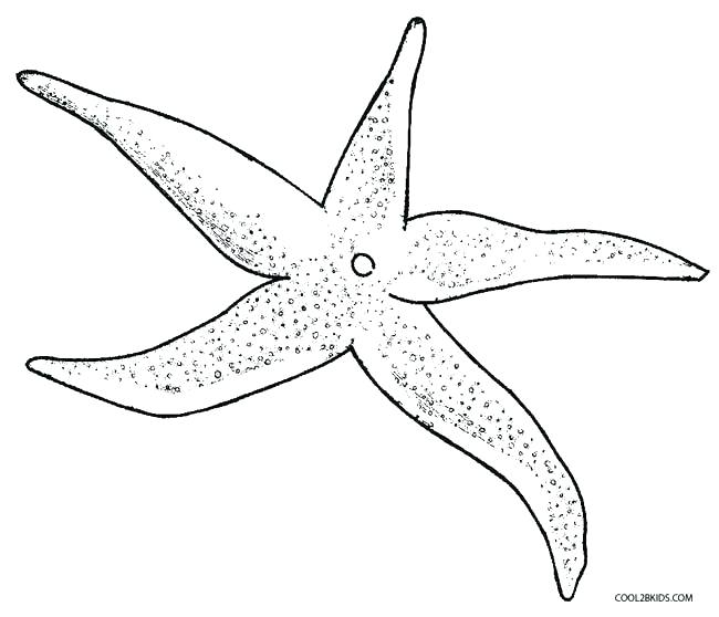 Sea Star Coloring Page Imposing Decoration Starfish Coloring Page 650x558 Sea Star Coloring Page Imposing Decoration Starfish Coloring Page