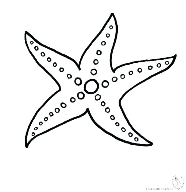 Sea Star Coloring Page Starfish Coloring Sheet Sea Star Coloring 618x637 Sea Star Coloring Page Starfish Coloring Sheet Sea Star Coloring