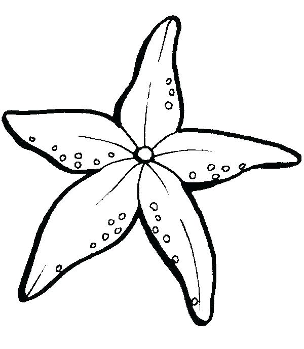 Starfish Coloring Page Drawn Starfish Coloring Page 4 Free 600x689 Starfish Coloring Page Drawn Starfish Coloring Page 4 Free