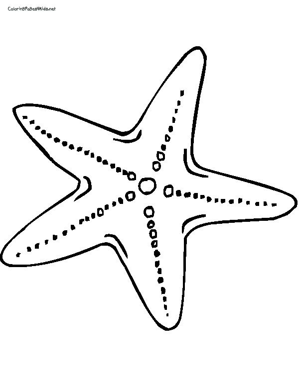 Best Photos Of Free Printable Pictures Of Starfish 600x756 Best Photos Of Free Printable Pictures Of Starfish