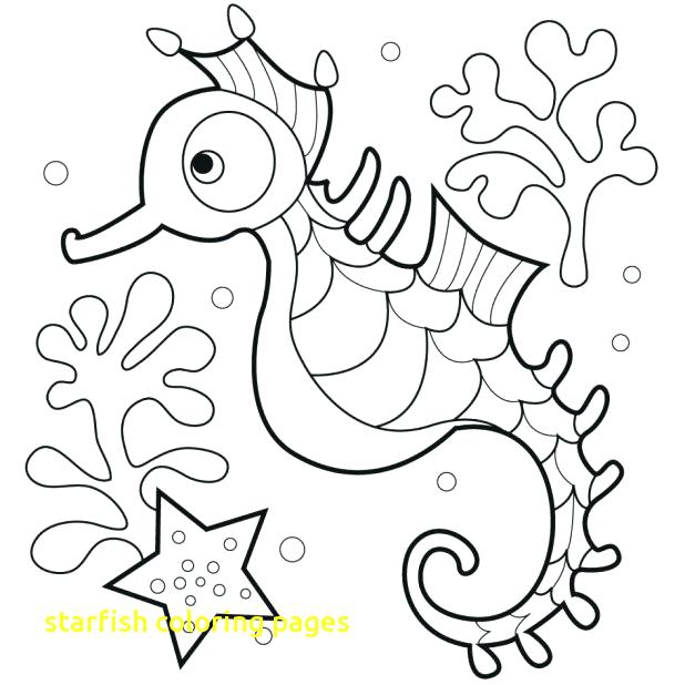 Starfish Coloring Page Starfish Coloring Pages With Catfish 618x618 Starfish Coloring Page Starfish Coloring Pages With Catfish