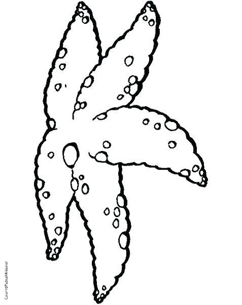 Starfish Coloring Pages Star Fish Coloring Page Star Fish Coloring 477x600 Starfish Coloring Pages Star Fish Coloring Page Star Fish Coloring