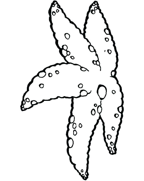 Starfish Coloring Pages Starfish Coloring Pages Coloring Pages 600x755 Starfish Coloring Pages Starfish Coloring Pages Coloring Pages