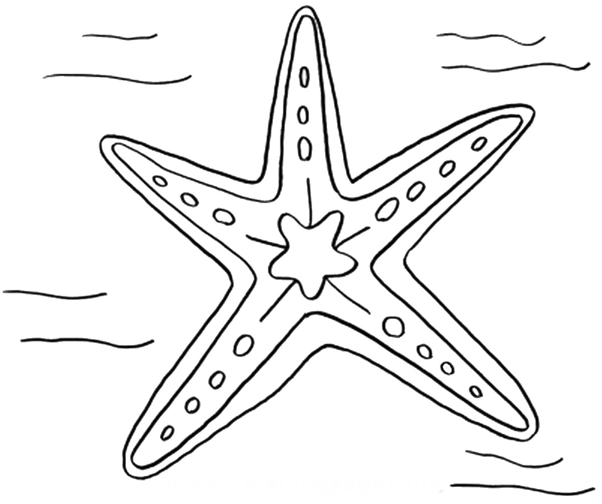 Starfish Coloring Pages 1200x1005 Starfish Coloring Pages
