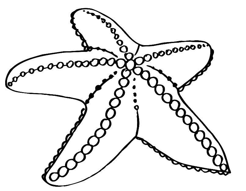 Starfish Coloring Pages To Download And Print For Free 806x626 Starfish Coloring Pages To Download And Print For Free