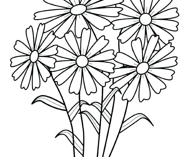 Lily Flower Coloring Pages Images To Color Download Flowers 600x500 Lily Flower Coloring Pages Images To Color Download Flowers