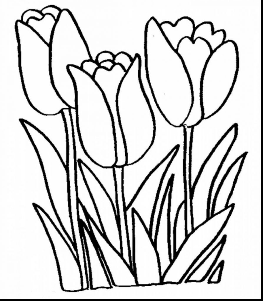 Arum Lily Coloring Pages For Kids Page Flowers Peace Frog Pad 894x1024 Arum Lily Coloring Pages For Kids Page Flowers Peace Frog Pad