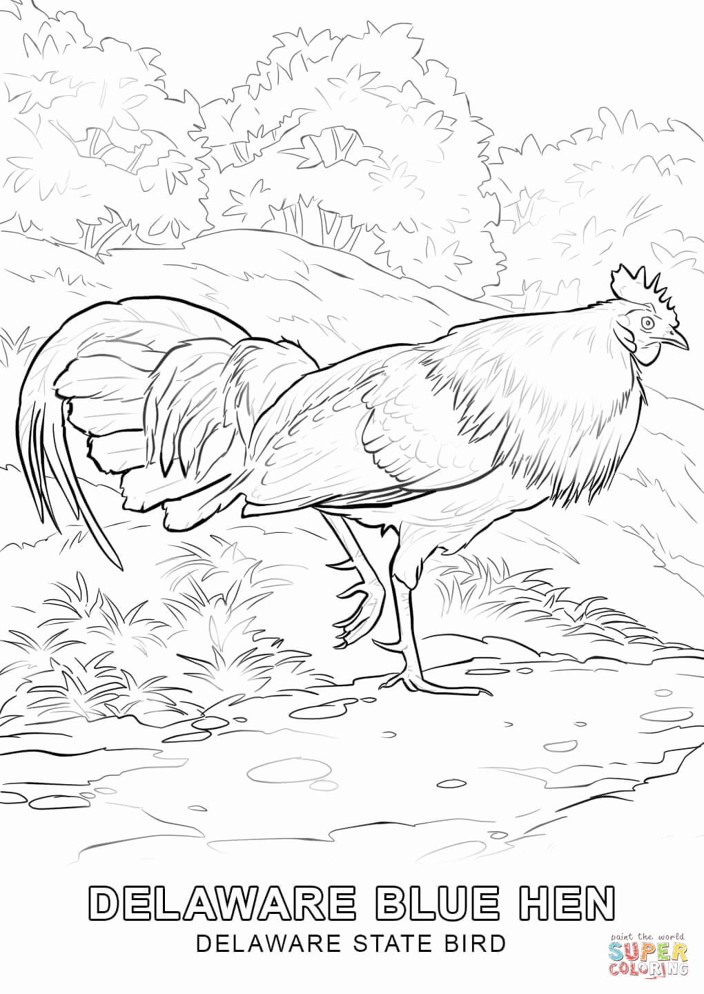 1020x1440 Delaware State Seal Coloring Page Gallery Delaware State Bird