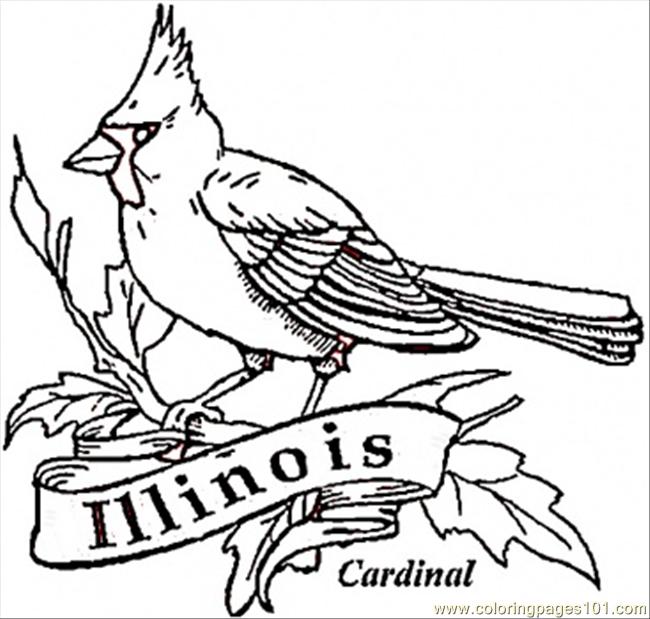 650x619 Florida Bird Coloring Pages