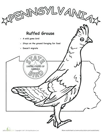 350x453 Pennsylvania Coloring Pages State Bird Science Pennsylvania State