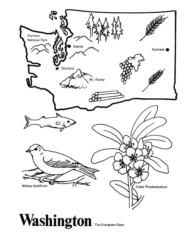 670x820 Washington State Coloring Pages State Coloring Pages State Flag