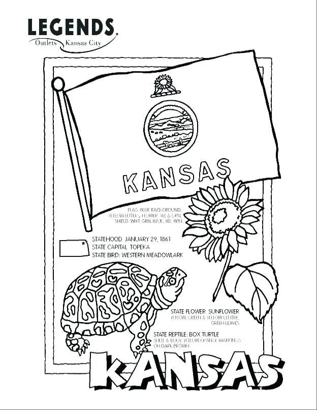 624x806 State Flower Coloring Pages