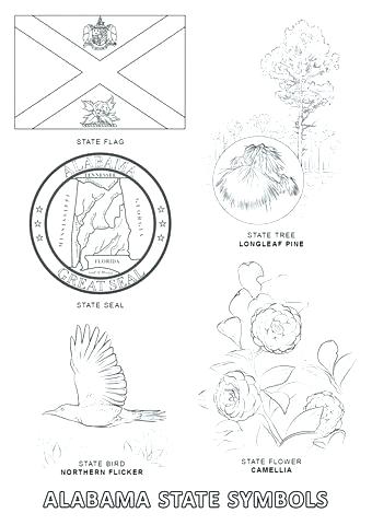 340x480 Alabama State Flag Coloring Pages State Flower Coloring Page