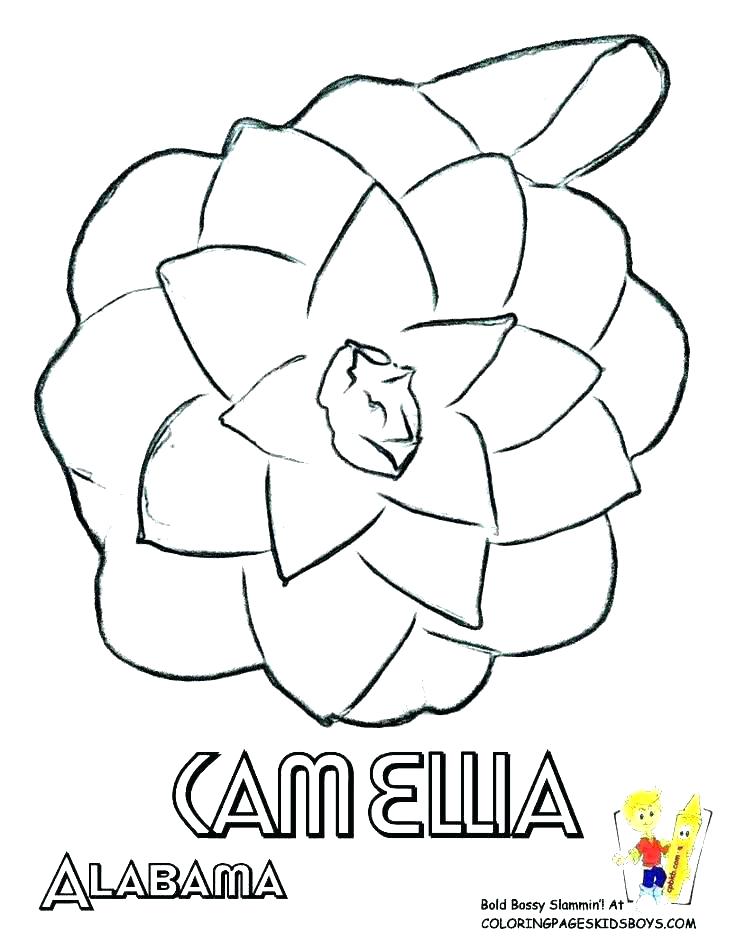 736x952 State Coloring Pages State Flag Coloring Page State Flag Coloring