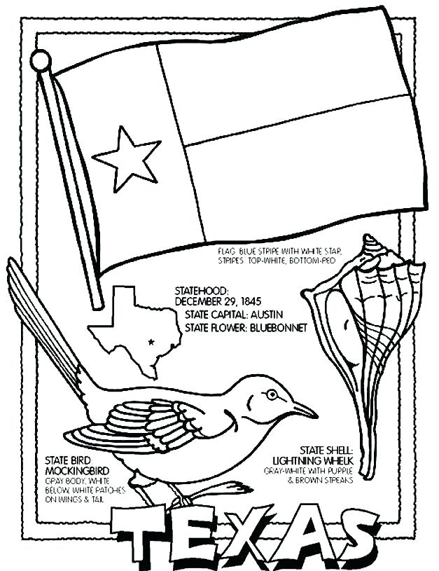 627x815 Texas State Bird Coloring Page Idea State Coloring Pages Or State