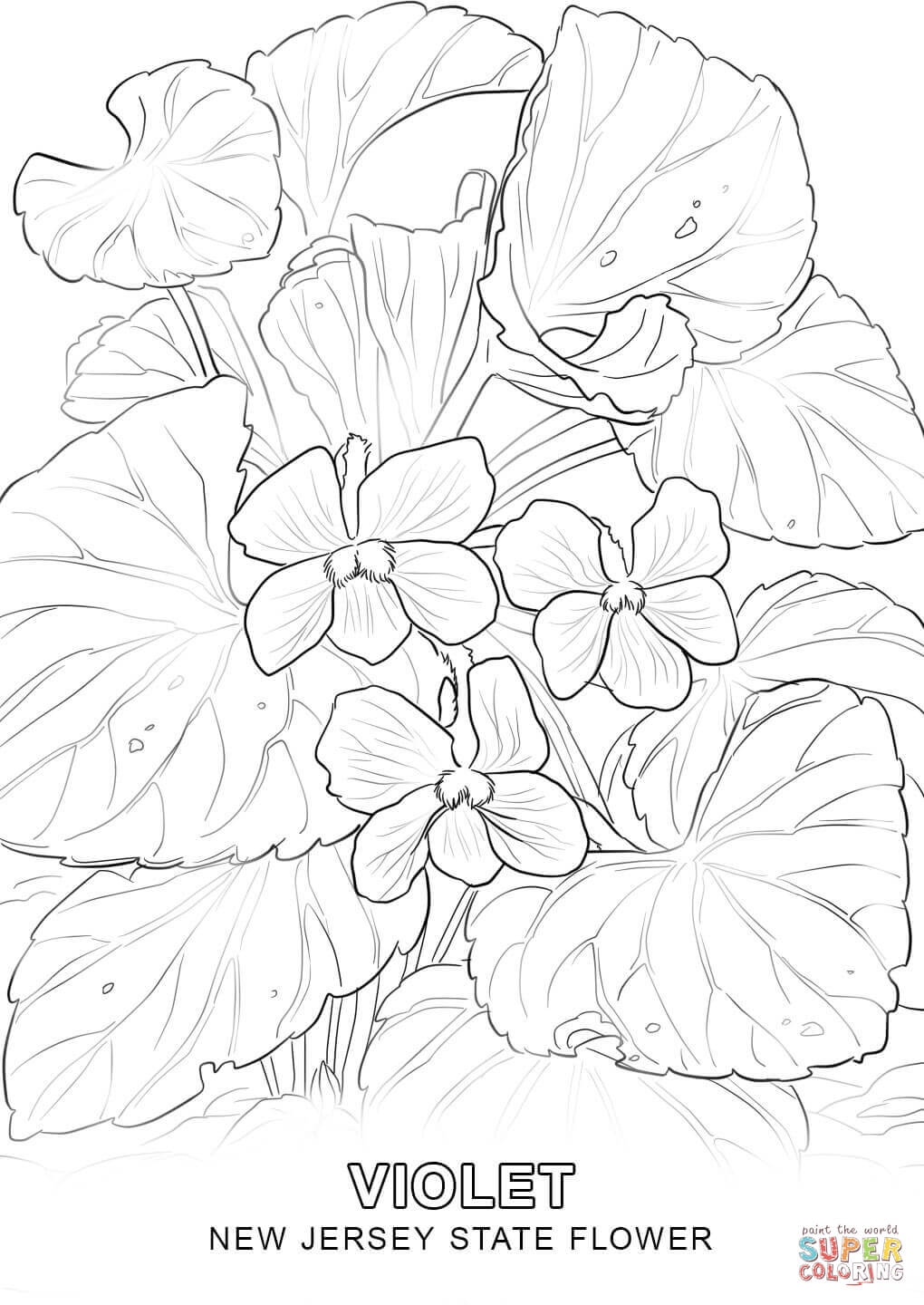 Fresh State Flower Coloring Pages Collection Printable Coloring 1020x1440 Fresh State Flower Coloring Pages Collection Printable Coloring